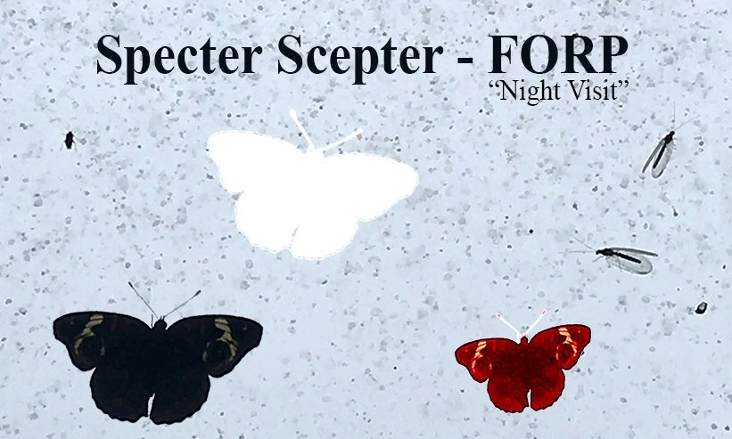 Bayo Park Gallery introduces “Specter Scepter” tonight