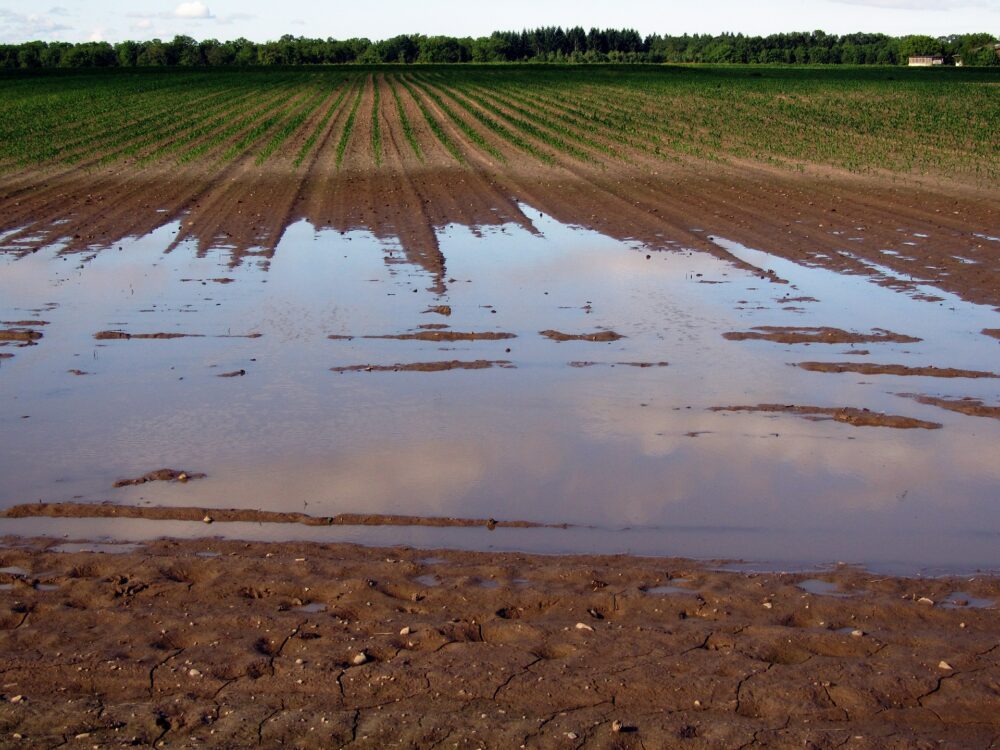 Climate change effects are far-reaching in Iowa