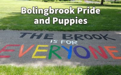 Bolingbrook Pride Saturday features animal rescue, transgender closet, kids’ fun, more