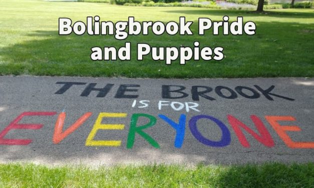 Bolingbrook Pride Saturday features animal rescue, transgender closet, kids’ fun, more