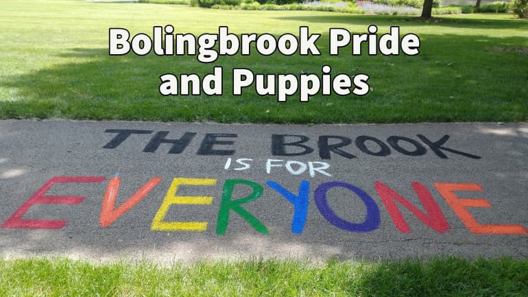 Bolingbrook Pride Saturday features animal rescue, transgender closet, kids’ fun, more