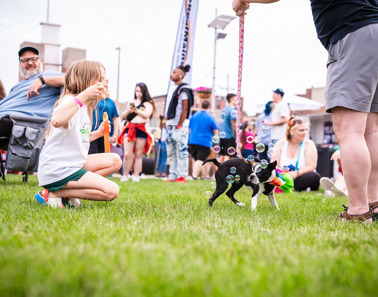 child blowing bubbles around a small dog