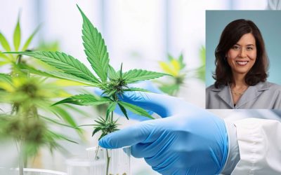 Mendoza Temple says signs emerging that research into cannabis as medicine will increase