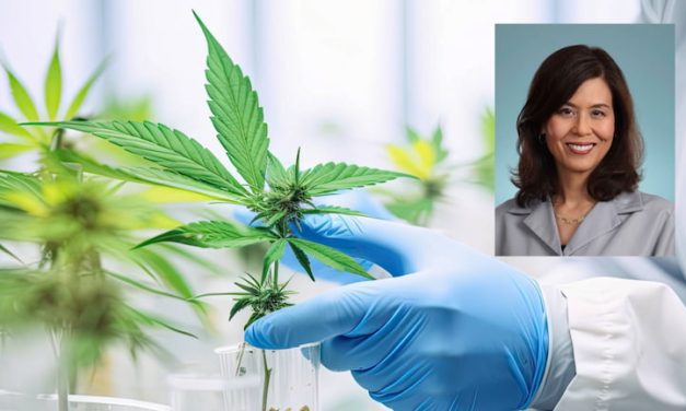 Mendoza Temple says signs emerging that research into cannabis as medicine will increase