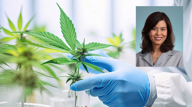 Mendoza Temple says signs emerging that research into cannabis as medicine will increase