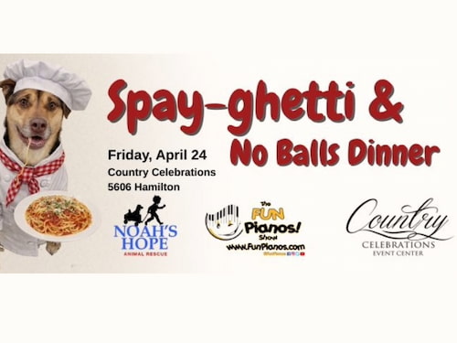 Spayghetti and No-Balls Dinner