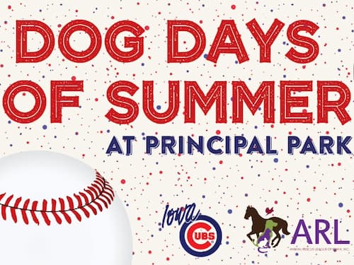 Dog Days of Summer