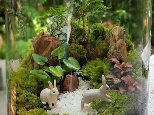 Sue Herrera terrarium workshop