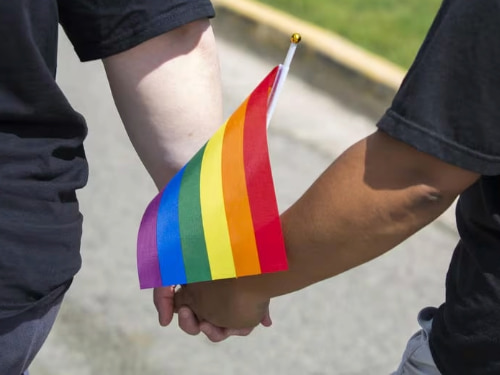 Rainbow Inclusivity Alliance in DeKalb Illinois