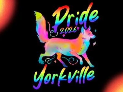 Yorkville Area Pride