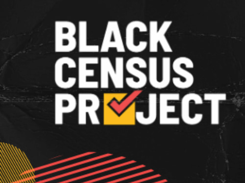 Black Census Project